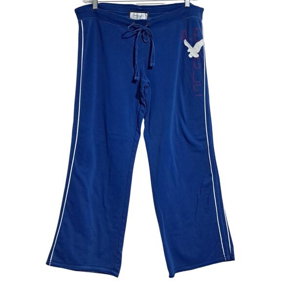 American Eagle AEO Logo Pants Womens Size L Blue Athletic Lounge Sporty Pants - Picture 1 of 11